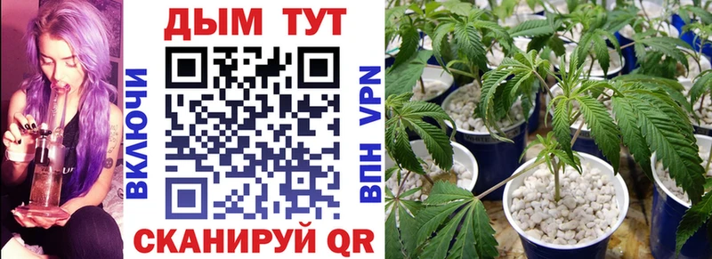 Как найти закладки Зверево ГАШИШ  COCAIN  omg маркетплейс  МАРИХУАНА  Меф мяу мяу  A PVP  АМФ 