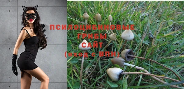 индика Остров