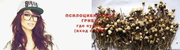 гидра Волосово