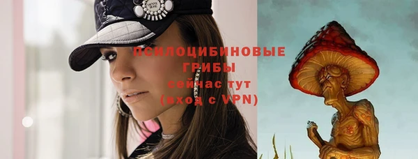 молекула духа Волоколамск