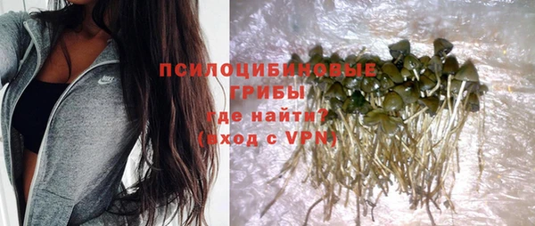 молекула духа Волоколамск