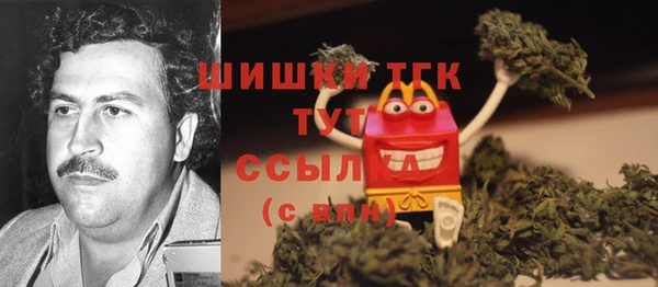 молекула духа Волоколамск