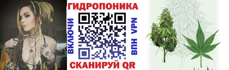 МАРИХУАНА план  Зверево 
